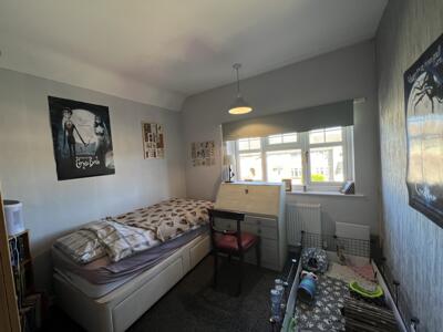 Picture 13